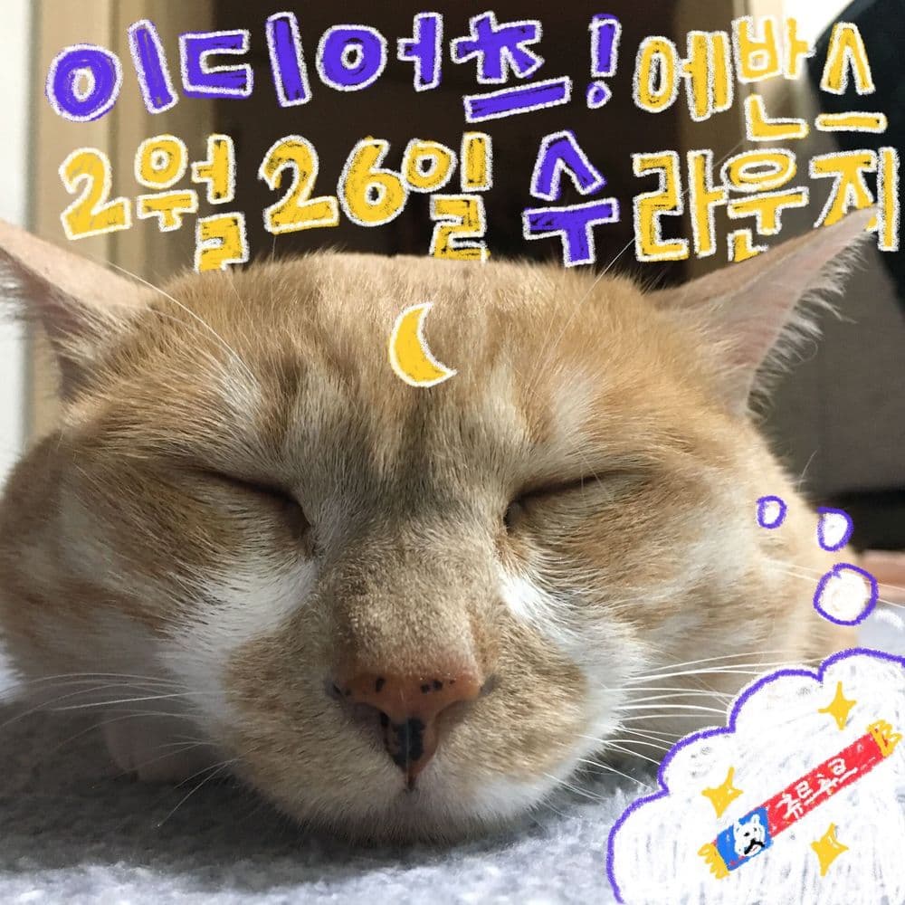 THE LIGHTS의 1번째 포스터