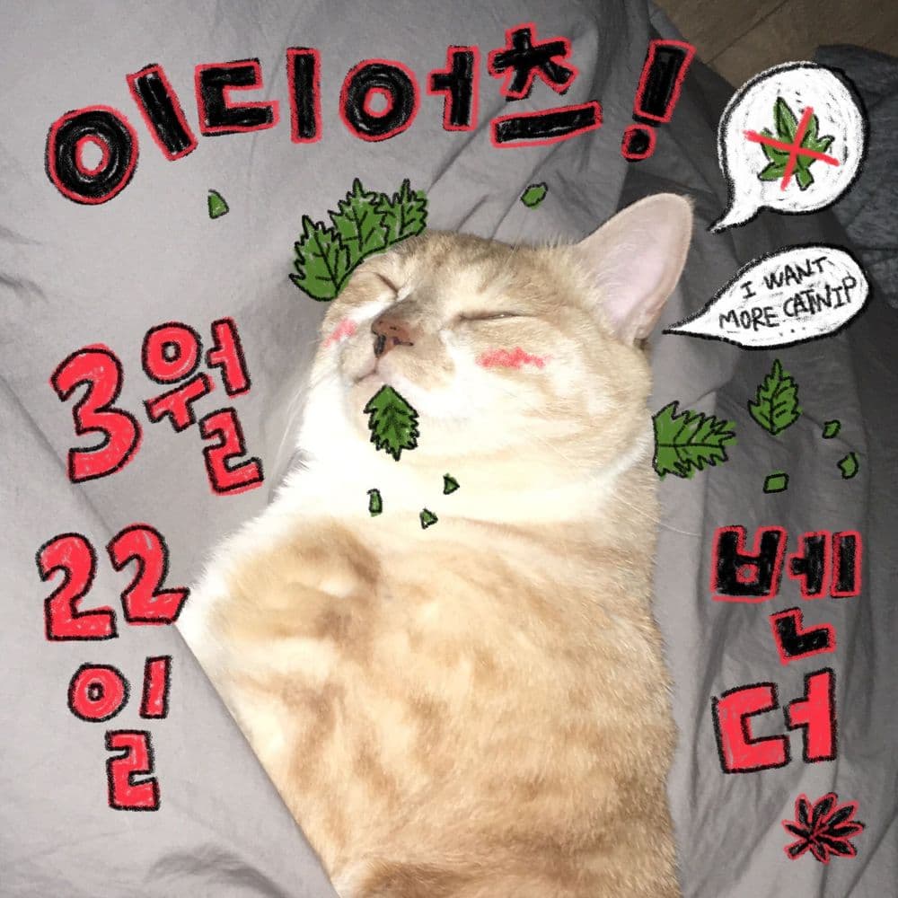 THIS IS NOT DETOUR의 1번째 포스터