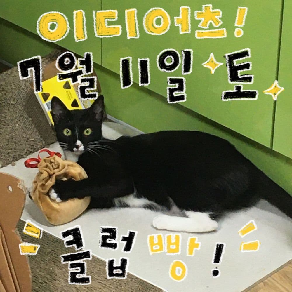 7월 빵 공연의 1번째 포스터