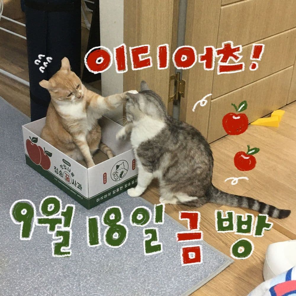9월 빵 공연의 1번째 포스터