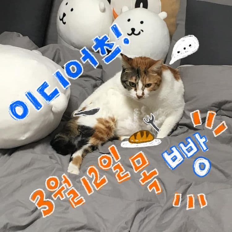  2020.03.12 클럽빵 공연의 1번째 포스터