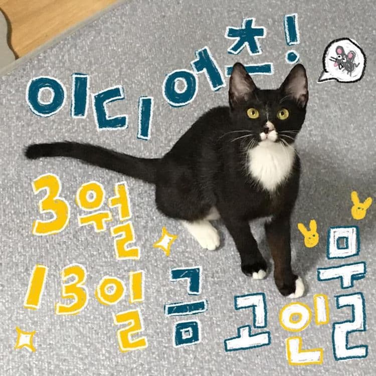 GROOVE PARTY의 1번째 포스터