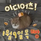 오롯한 라이브와 함께의 2번째 포스터 썸네일