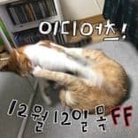 LIVE in DEC 2019의 2번째 포스터 썸네일