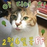 LIVE in FEB의 1번째 포스터 썸네일