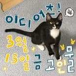 GROOVE PARTY의 1번째 포스터 썸네일