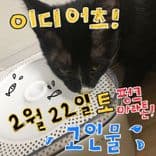 2020 PUNK Marathon의 1번째 포스터 썸네일