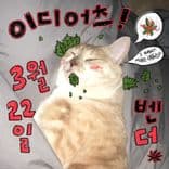 THIS IS NOT DETOUR의 1번째 포스터 썸네일