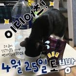 4월 빵 공연의 2번째 포스터 썸네일