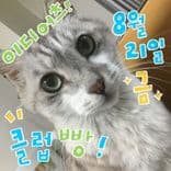 8월 빵 공연의 1번째 포스터 썸네일