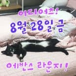 8월 에반스라운지 공연의 2번째 포스터 썸네일