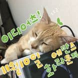 The Lights의 2번째 포스터 썸네일