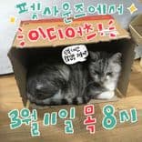 펫사운즈 인디라이브 - 이디어츠의 2번째 포스터 썸네일